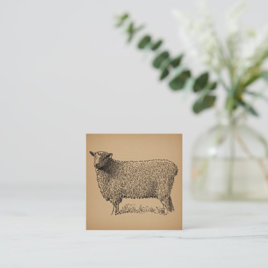 Classic Sheep Art Illustratie Antiek Boerderij Ani Informatiekaartje (Staand voorkant)