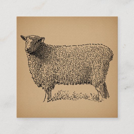 Classic Sheep Art Illustratie Antiek Boerderij Ani Informatiekaartje (Voorkant)
