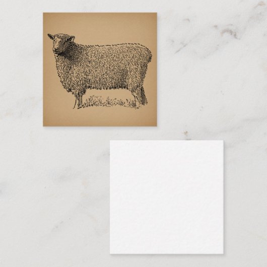 Classic Sheep Art Illustratie Antiek Boerderij Ani Informatiekaartje (Voorkant / Achterkant)