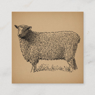 Classic Sheep Art Illustratie Antiek Boerderij Ani Informatiekaartje