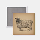 Classic Sheep Art Illustratie Antiek Boerderij Ani Magneet (Voorkant / Achterkant)