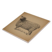 Classic Sheep Art Illustratie Antiek Boerderij Ani Tegeltje (Zijkant)