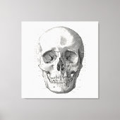 Classic Skull Diagram Illustratie Canvas Afdruk (Voorkant)