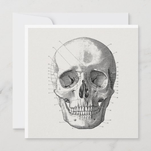 Classic Skull Diagram Illustratie Kaart (Achterkant)