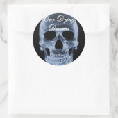 Classic Skull Logo Sticker (Tas)
