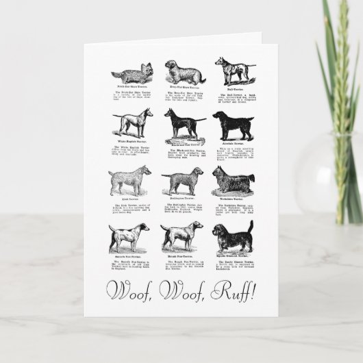 CLASSIC TERRIER DOG VERJAARDAG WENS KAART (Voorkant)