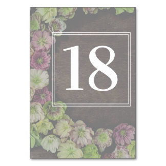 CLASSIC Tuin Helleborus Hout Tafelnummer