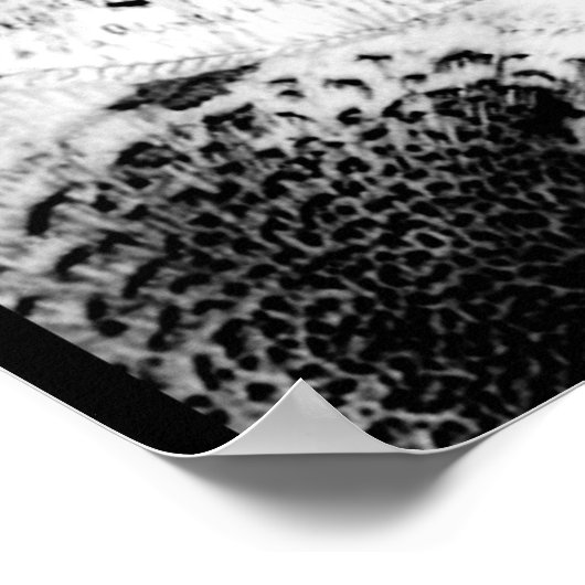 Classic voor paddenstoel poster (Hoek)