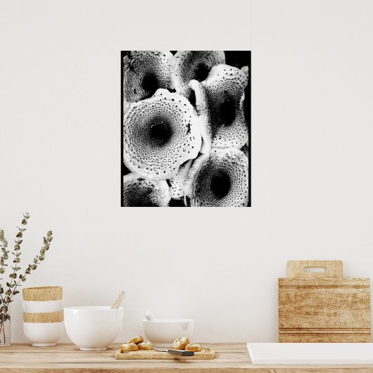 Classic voor paddenstoel poster (Keuken)