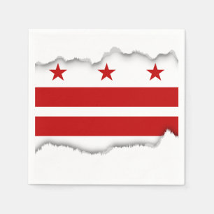 Classic Washington D.C. Flag Servet