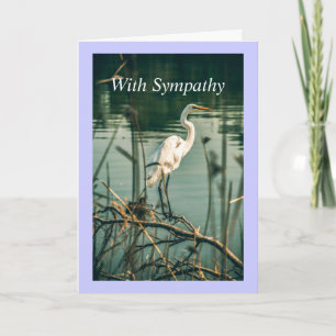 Classic White Egret Shore Bird Willife Natuur Kaart
