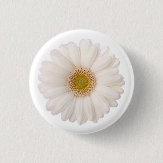 Classic White Gerbera Daisy Flower Ronde Button 3,2 Cm (Voorkant)
