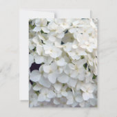 Classic White Hydrangea Floral Vrijgezellenfeest Kaart (Achterkant)