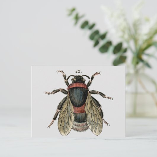 Classic Zoological Etching of a Bumble Bee Briefkaart (Staand voorkant)