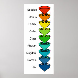 Classificatie van de Diversiteit van Organic Life  Poster