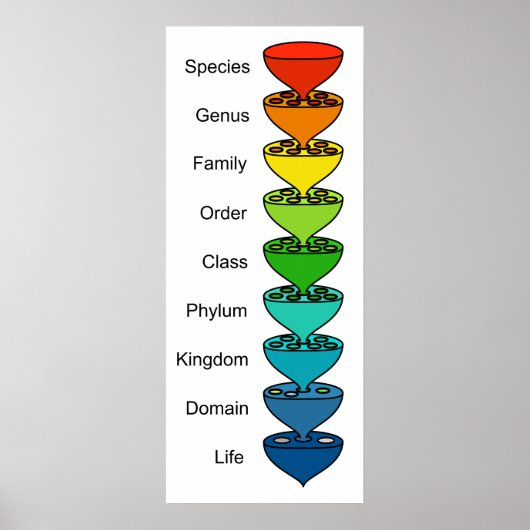 Classificatie van de Diversiteit van Organic Life Poster (Voorkant)