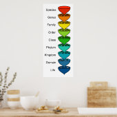 Classificatie van de Diversiteit van Organic Life Poster (Keuken)