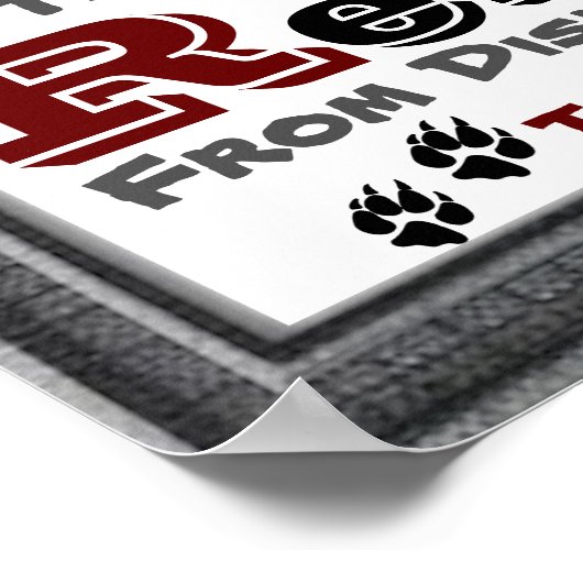 Classroom Guidelines/Rules Poster (Hoek)