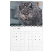 Classy Arctic Wildlife Alaska Foto gemaakt Kalender (Mar 2026)