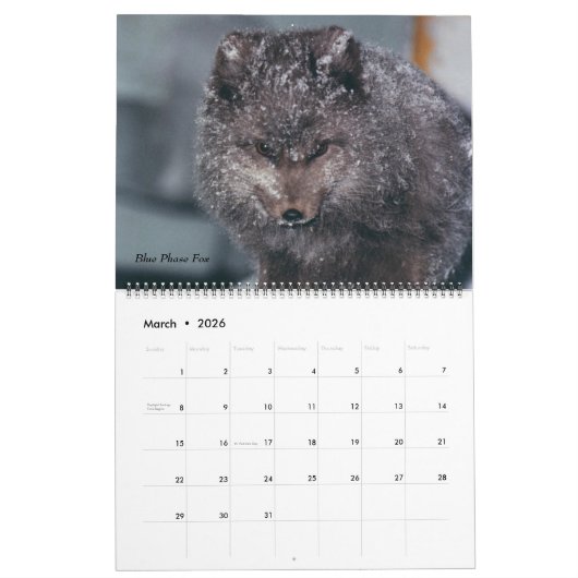 Classy Arctic Wildlife Alaska Foto gemaakt Kalender (Mar 2026)