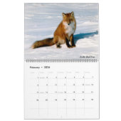 Classy Arctic Wildlife Alaska Foto gemaakt Kalender (Feb 2026)
