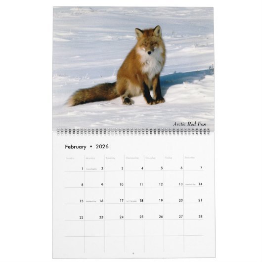 Classy Arctic Wildlife Alaska Foto gemaakt Kalender (Feb 2026)