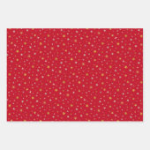 Classy Chic Elegant Gold Silver Red Kerstster Inpakpapier Vel (Voorkant 2)