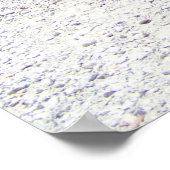 Classy Classic Poster (Hoek)