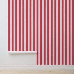 Classy Coastal Chique koraal witte strepen Behang