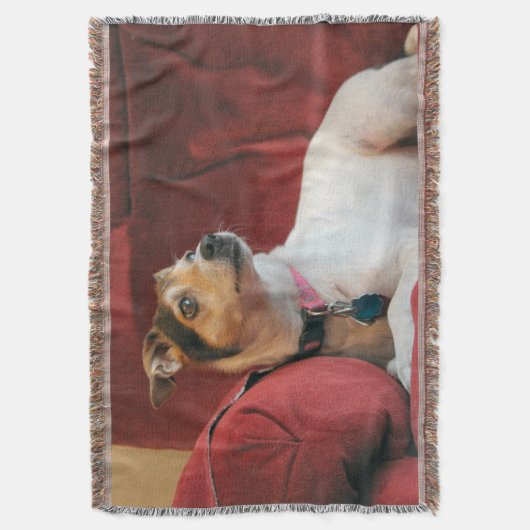 Classy Deken (Voorkant Verticaal)