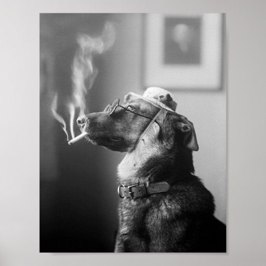 Classy Dog Roken een sigaret Poster (Voorkant)