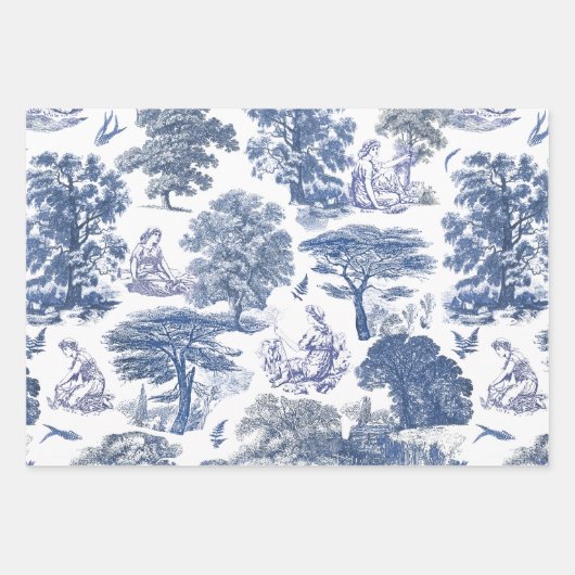Classy Elegant Rustiek Blauw Land Toile Inpakpapier Vel (Voorkant)