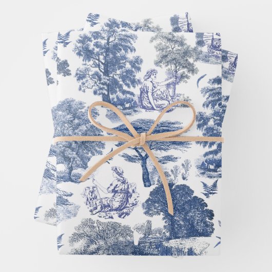 Classy Elegant Rustiek Blauw Land Toile Inpakpapier Vel (In situ)
