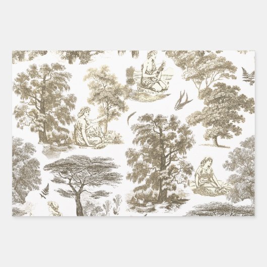 Classy Elegant Rustiek Goud Beige Country Toile Inpakpapier Vel (Voorkant 3)