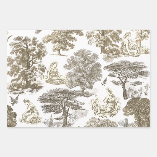 Classy Elegant Rustiek Goud Beige Country Toile Inpakpapier Vel (Voorkant 2)
