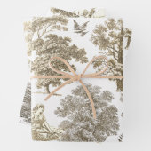 Classy Elegant Rustiek Goud Beige Country Toile Inpakpapier Vel (In situ)
