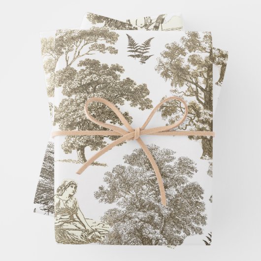 Classy Elegant Rustiek Goud Beige Country Toile Inpakpapier Vel (In situ)