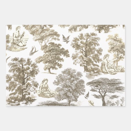 Classy Elegant Rustiek Goud Beige Country Toile Inpakpapier Vel (Voorkant)