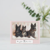 Classy Girls Draag het Briefkaart Pearls (Staand voorkant)