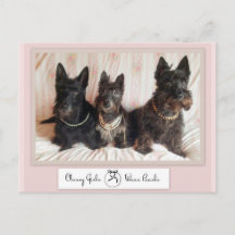 Classy Girls Draag het Briefkaart Pearls