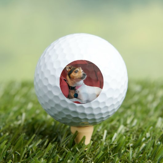 Classy Golfballen (Insitu Shirt)