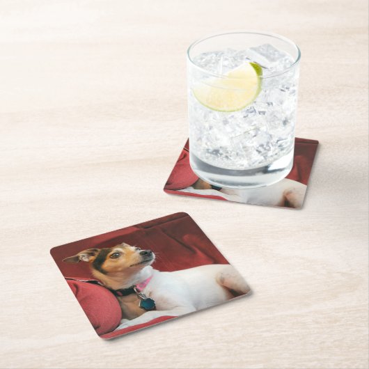 Classy Kartonnen Onderzetters (Insitu)