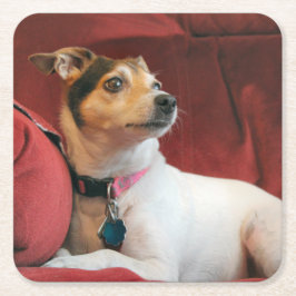 Classy Kartonnen Onderzetters