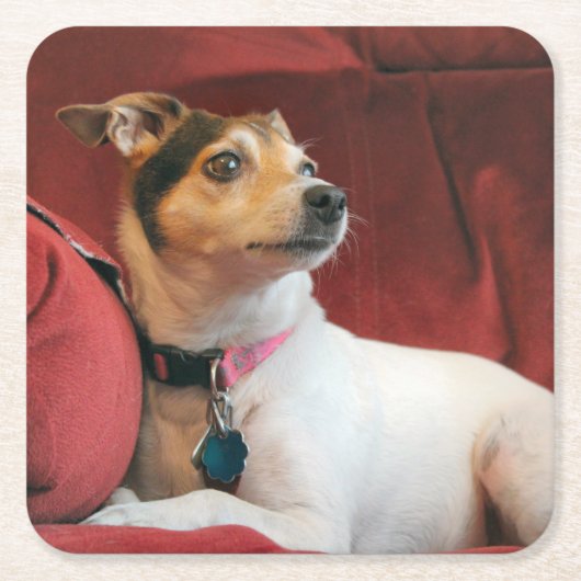 Classy Kartonnen Onderzetters (Voorkant)