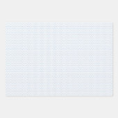 Classy laat bloemenkunstpatroon op lichtblauw inpakpapier vel (Voorkant 2)