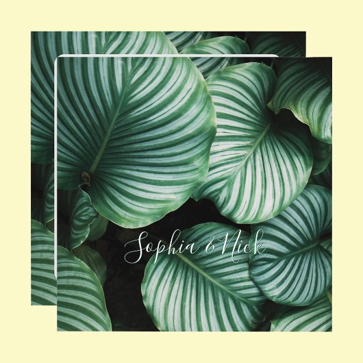 Classy Large Leaf Design, naam (namen), bericht