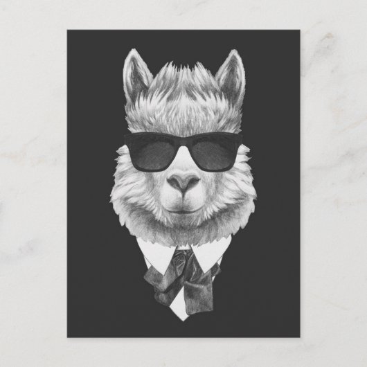 Classy Llama Briefkaart (Voorkant)