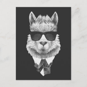 Classy Llama Briefkaart