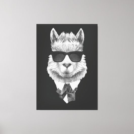 Classy Llama Canvas Afdruk (Voorkant)