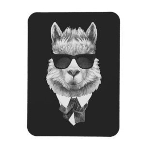 Classy Llama Magneet